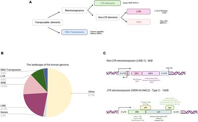 Retrotransposons as a Source of DNA Damage in Neurodegeneration